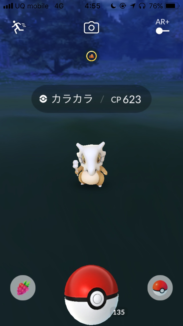 ポケモンgo 色違いのカラカラとポニータを求めてとにかく捕まえてみた Appbank