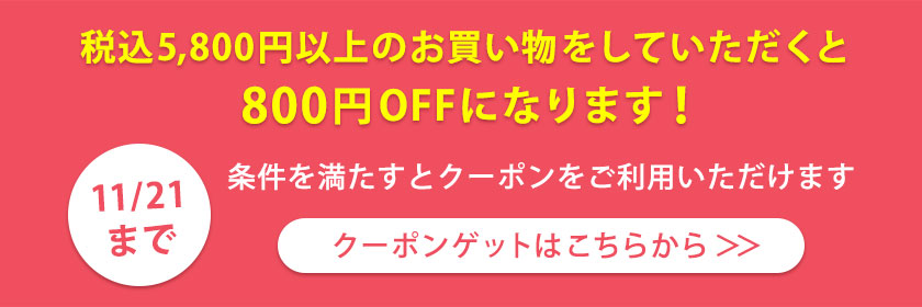 5,800円以上の購入で800円OFF