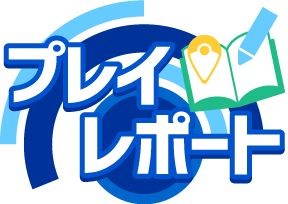 検証 調査 プレイレポート