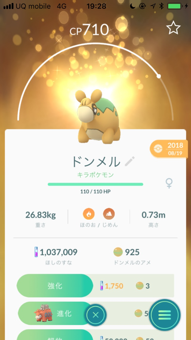 ポケモンgo キラポケモンになる確率を100回交換して検証 旧正月イベント Appbank ポケモンgo キラポケモンになる確率を100回交換して検証 旧正月イベント Appbank