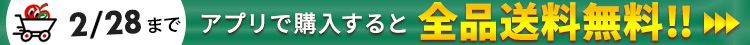 AppBank Store WEB店アプリで送料無料