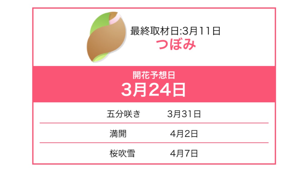 【2019年】桜開花・花見情報をチェックするならこのアプリ