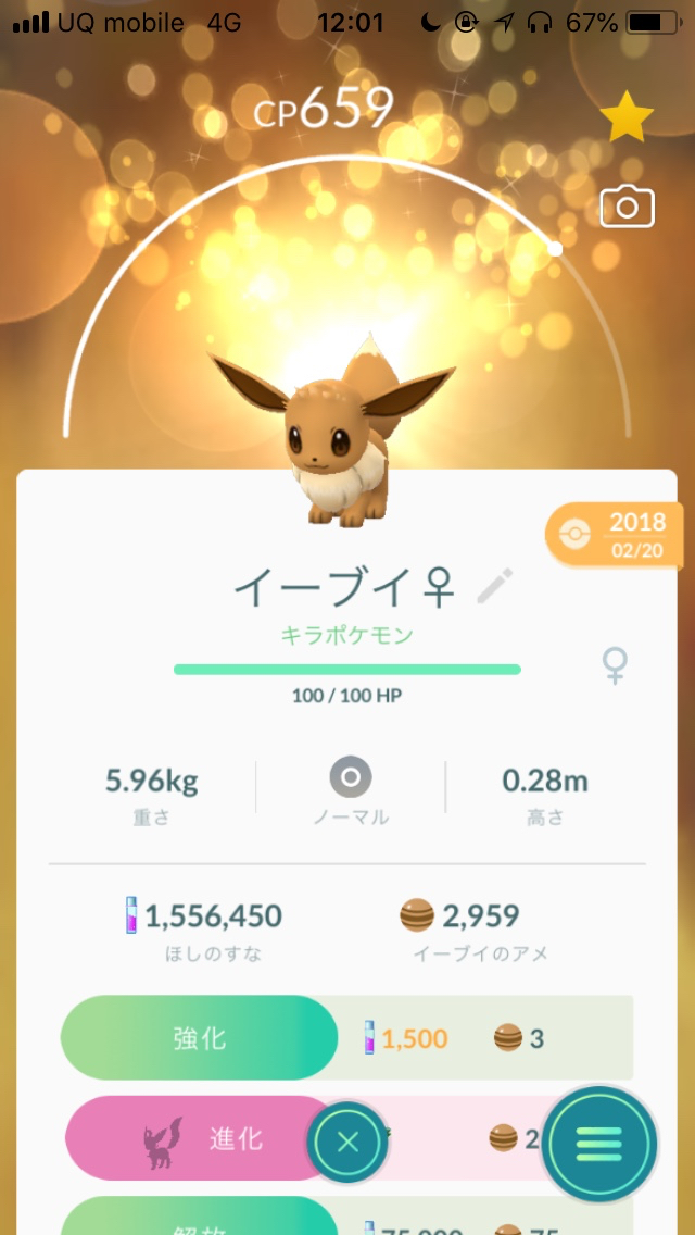 ポケモンgo リーフィアとグレイシアの入手方法は 色違いも全種類作ってみた Appbank