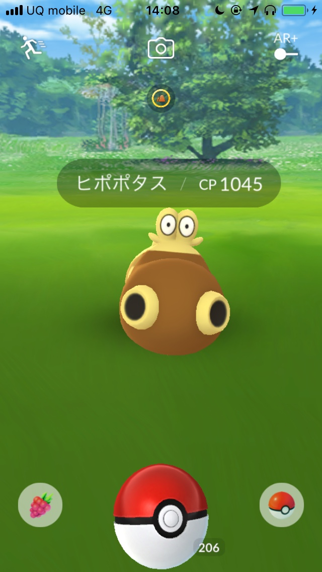 ポケモンgo ヒポポタスの巣があの公園に カバルドンを作るために実際に行ってみた Appbank