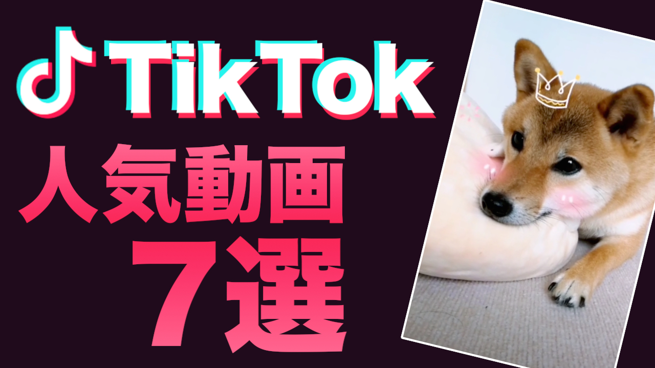 かわいい! 面白い! やってみたい! 『TikTok』の人気動画7選