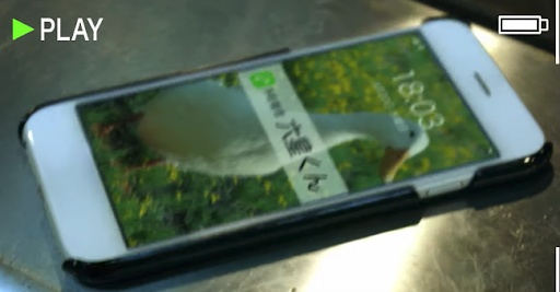 スマホ待ち受け画面