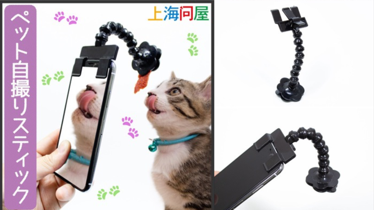 猫の上目遣いも簡単に撮れる ペット用の自撮りスティックが登場 Appbank 猫の上目遣いも簡単に撮れる ペット用の自撮りスティックが登場 Appbank