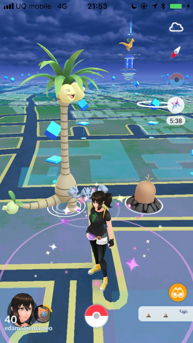ポケモンgo 野生の色違いアローラを狙ってみた 出現率爆上げ中かも Appbank