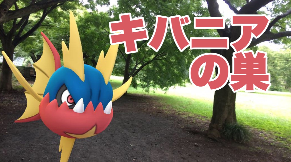 ポケモンgo キバニアの巣で色違いを狙ってみた どのくらい出現するのかも調査 Appbank