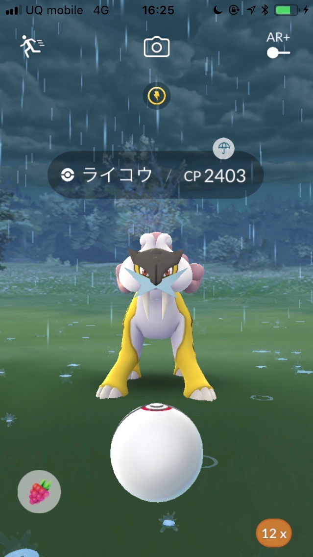 クーポン安い 配布ロム 海外版色違い3犬 携帯用ゲームソフト Aridlahore Edu Pk クーポン安い 配布ロム 海外版色違い3犬 携帯用ゲームソフト Aridlahore Edu Pk