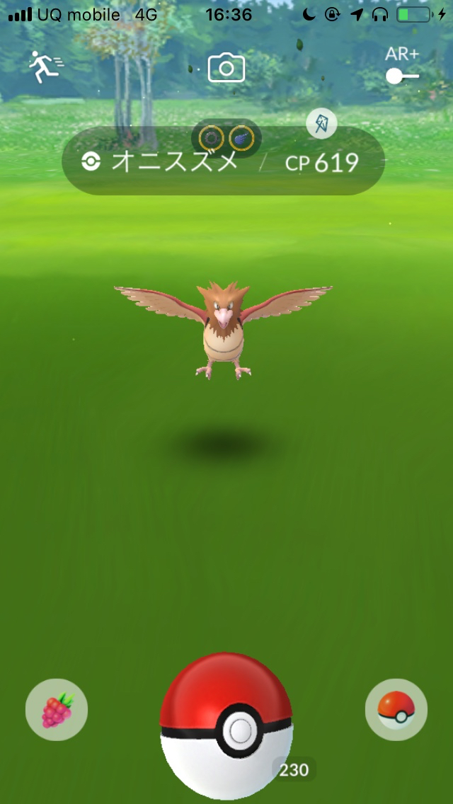 ポケモンgo 1時間で4万ほしのすなを獲得可能 ポケモン広場で色違いナゾノクサを狙いつつポケモンを大量ゲットしてみた Appbank