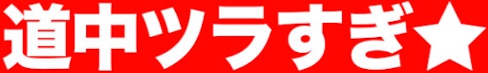 道中つらすぎまとめ