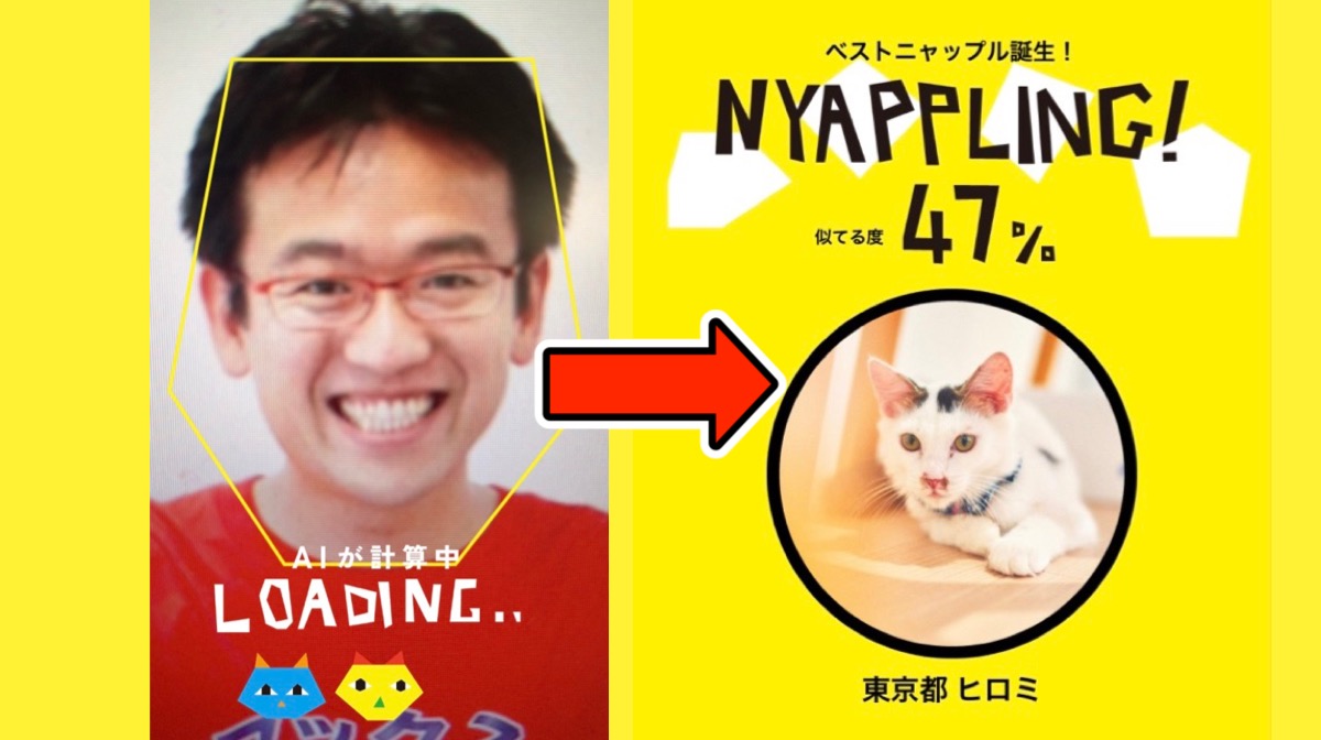 自分や愛猫そっくりの猫をAI診断! 猫マッチングアプリ『NYAPPLING』