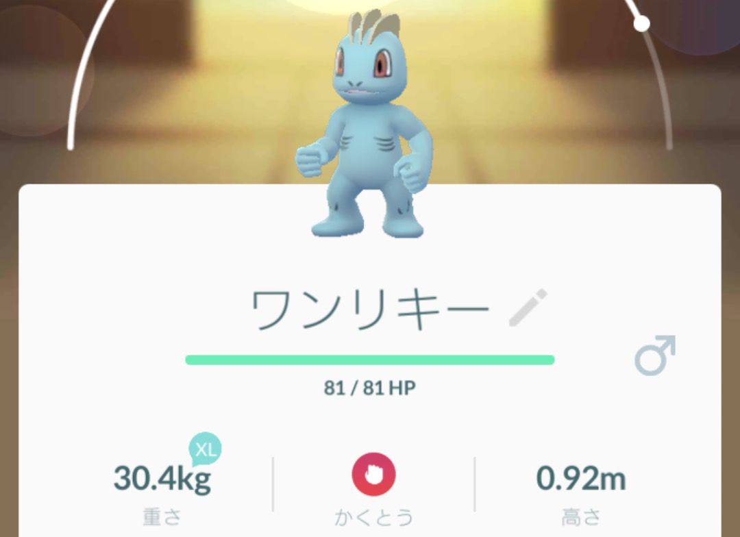 ポケモンgo かくとうタイプ相性の覚え方 ぶっ壊せるモノは得意 壊せないものはニガテ Appbank