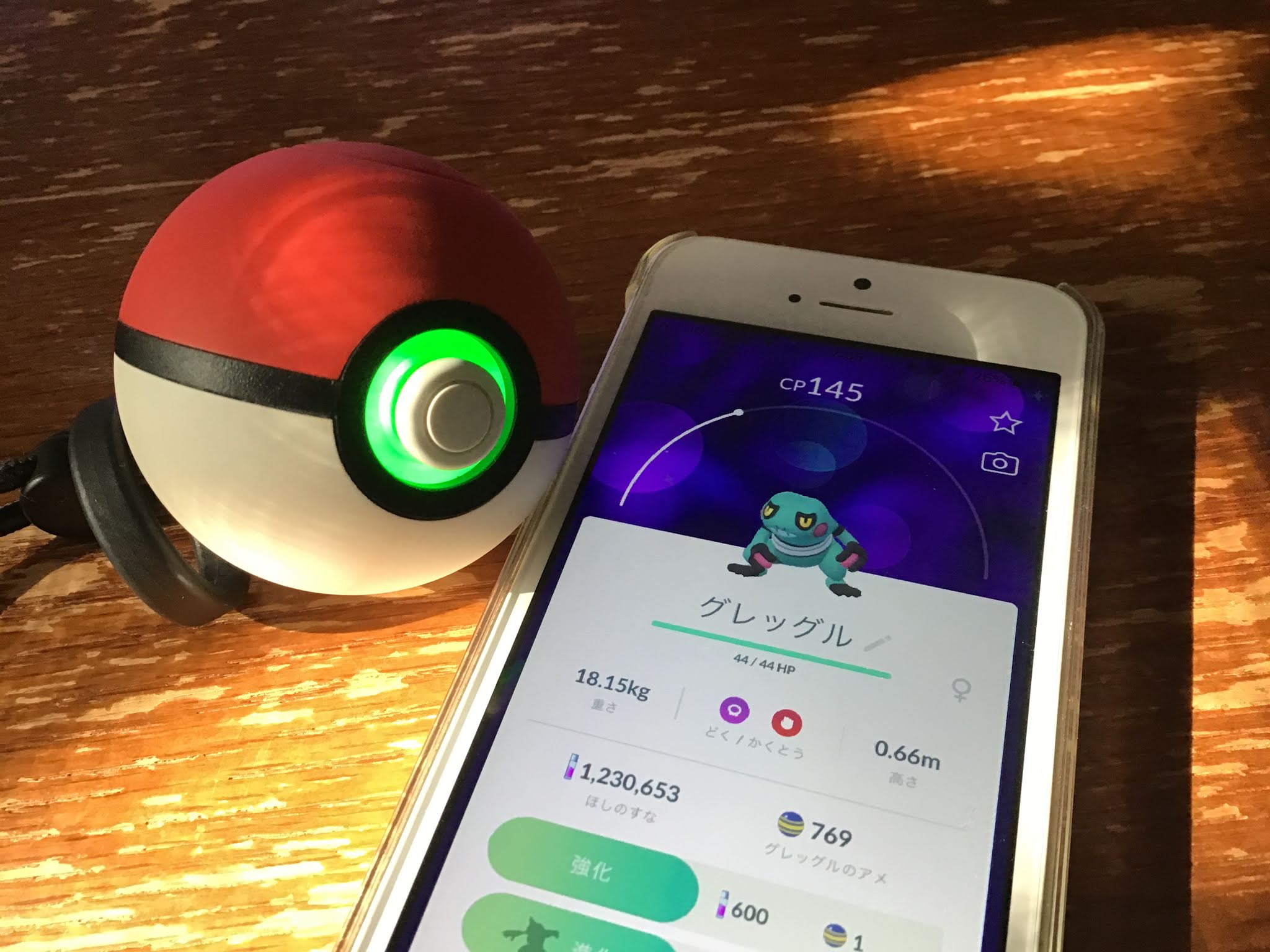 ポケモンgo ほぼ自動で色違いゲットを目指して おこう モンスターボールplusだけでエイプリルフールイベントをプレイしてみた結果 Appbank