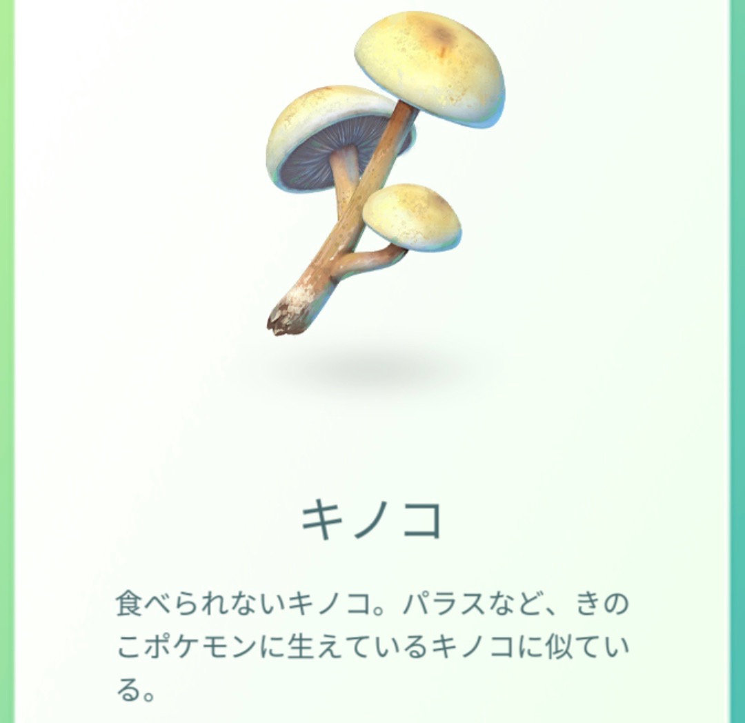 ポケモンgo 相棒カイリキーが色々ひろってきた 思い出が詰まったおみやげの数々を紹介 Appbank