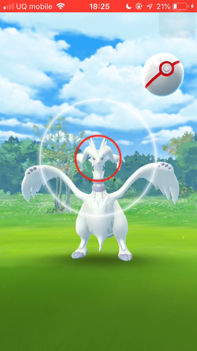 ポケモンgo レシラムにエクセレントスローを当てるコツを紹介 ポイントは思い切りと角度 Appbank ポケモンgo レシラムにエクセレントスローを当てるコツを紹介 ポイントは思い切りと角度 Appbank