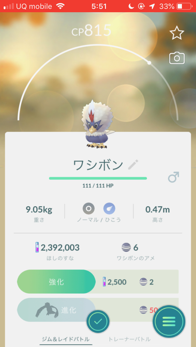 ポケモンgo ワシボンを入手する方法は 進化させて ウォーグル もゲットしてみよう Appbank