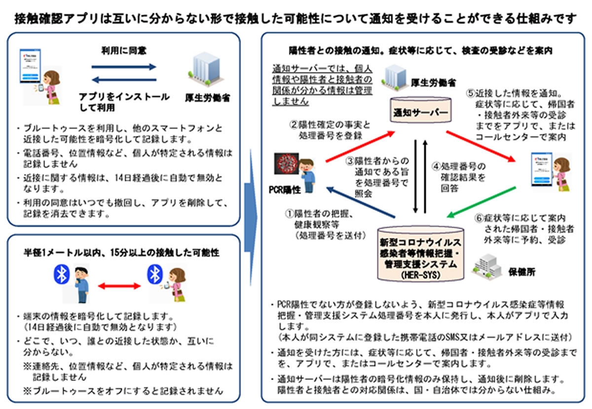 新型コロナウイルス接触確認アプリ『COCOA』、本日6月19日15時より配信開始