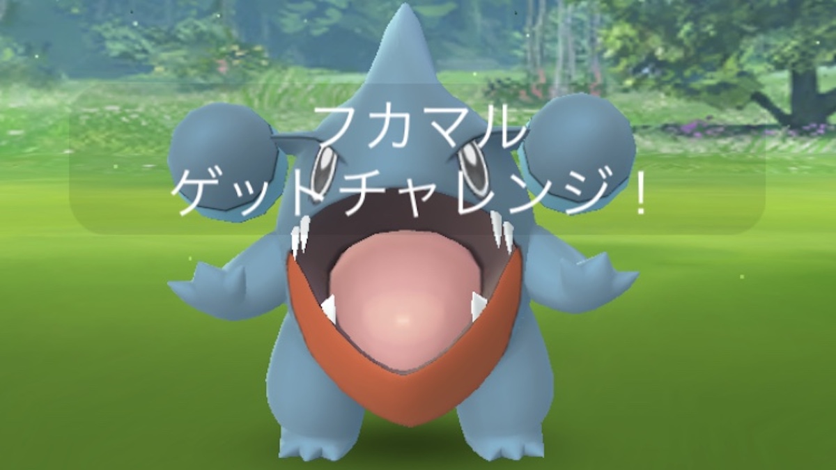 Go 2 目 日 フェスト ポケモン