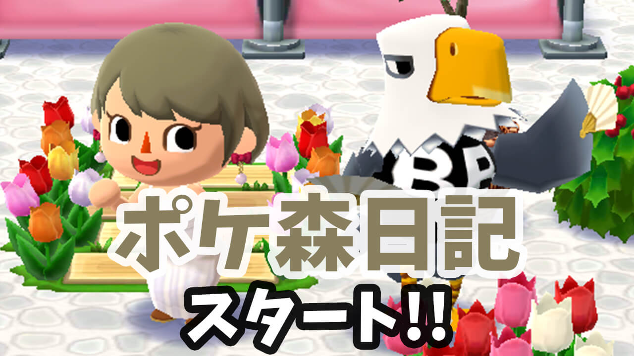 【どうぶつの森】私はゴリラの楽園を作りたい【ポケ森日記】