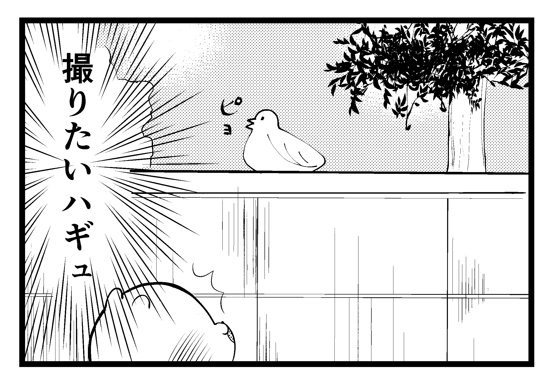 4コマ漫画 ハギュさんのフォトらいふ 第15話 写真の腕前 Appbank