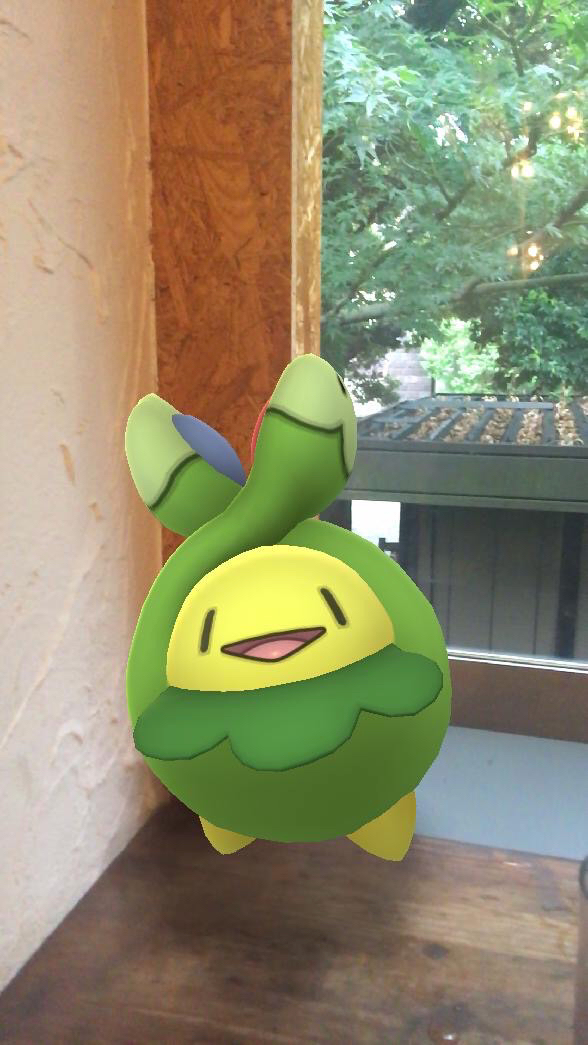 ポケモンgo スボミーとヒマナッツの成長を激写 ひと夏でとっても大きくなりました Appbank