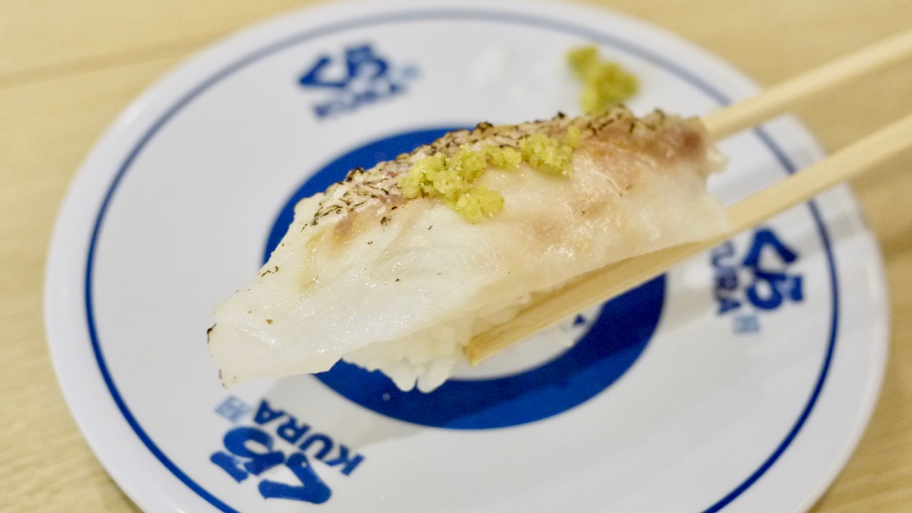今しかできな真鯛の食べ比べ! 塩わさびで味わう「絆真鯛塩〆炙り」に大満足!! #くら寿司