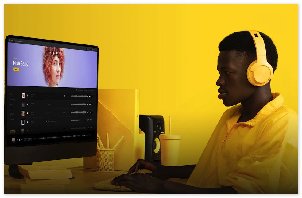 無料で100以上のLUT・トランジションなどの動画素材が手に入る新規＆既存登録者向けキャンペーンをArtlistが実施中！#ブラックフライデー