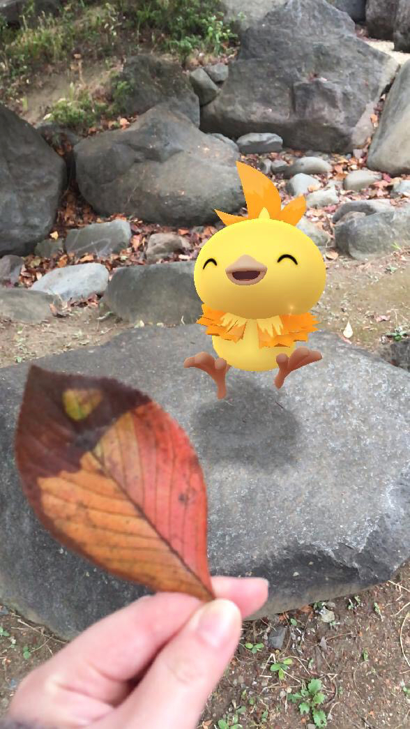 ポケモンgo ポケモンと紅葉を楽しんでみた アチャモが可愛すぎて事件 Appbank