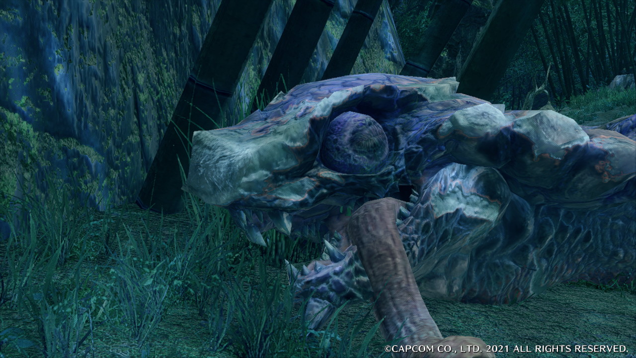 モンハンライズ 6年ぶりの霞龍 怖いけど憎めないオオナズチの話をしよう 3 Appbank