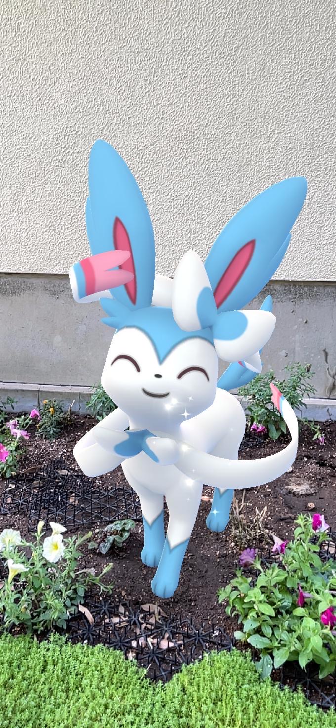 ポケモンgo 意外と初心者向けアタッカーかも あまえるアタッカー入門に最適 ニンフィアの使い道や注目ポイントを紹介 バランスのいいフェアリータイプアタッカー 連れ回すだけで進化可能なお手軽さも Appbank ポケモンgo 意外と初心者向けアタッカーかも あまえるアタッカー入門に最適 ニンフィアの使い道や注目ポイントを紹介 バランスのいいフェアリータイプアタッカー 連れ回すだけで進化可能なお手軽さも Appbank