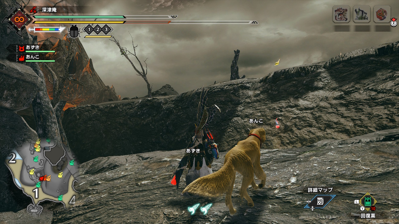 モンハンライズ ヒトダマドリ回収してる 花結の効果を最大に活かすオススメのフィールドワーク 4 Appbank