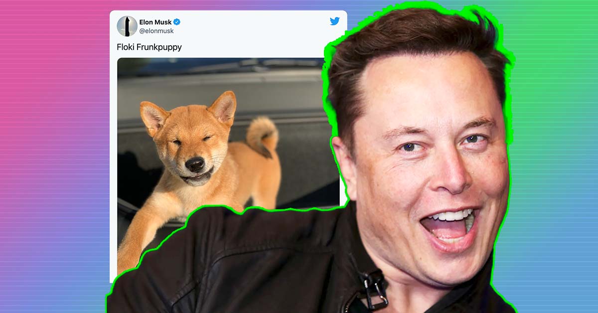 イーロン・マスクも注目！ 海外で話題の仮想通貨/暗号資産『Shiba Inu』とは？