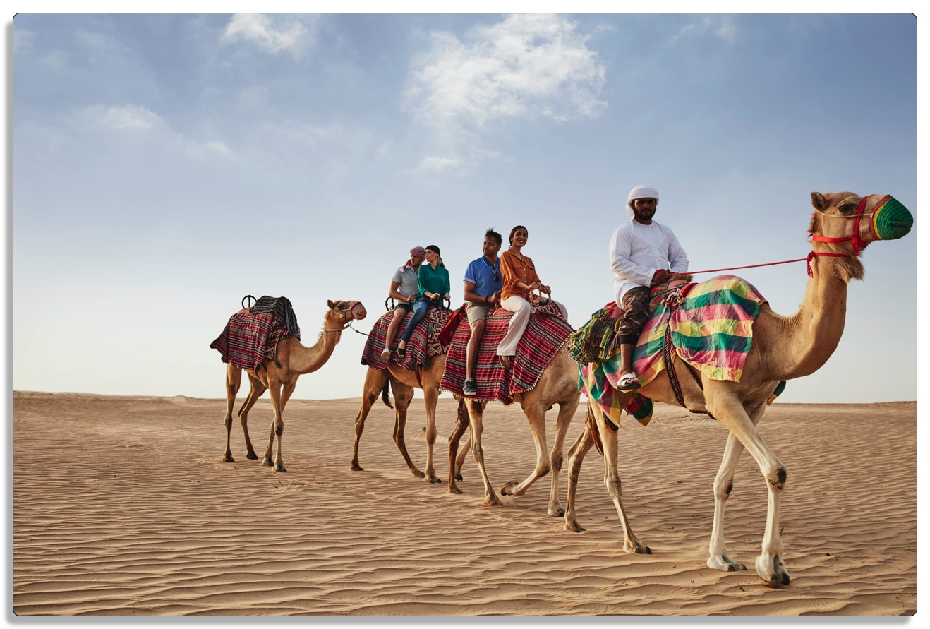ドバイの砂漠、砂丘、ラクダ