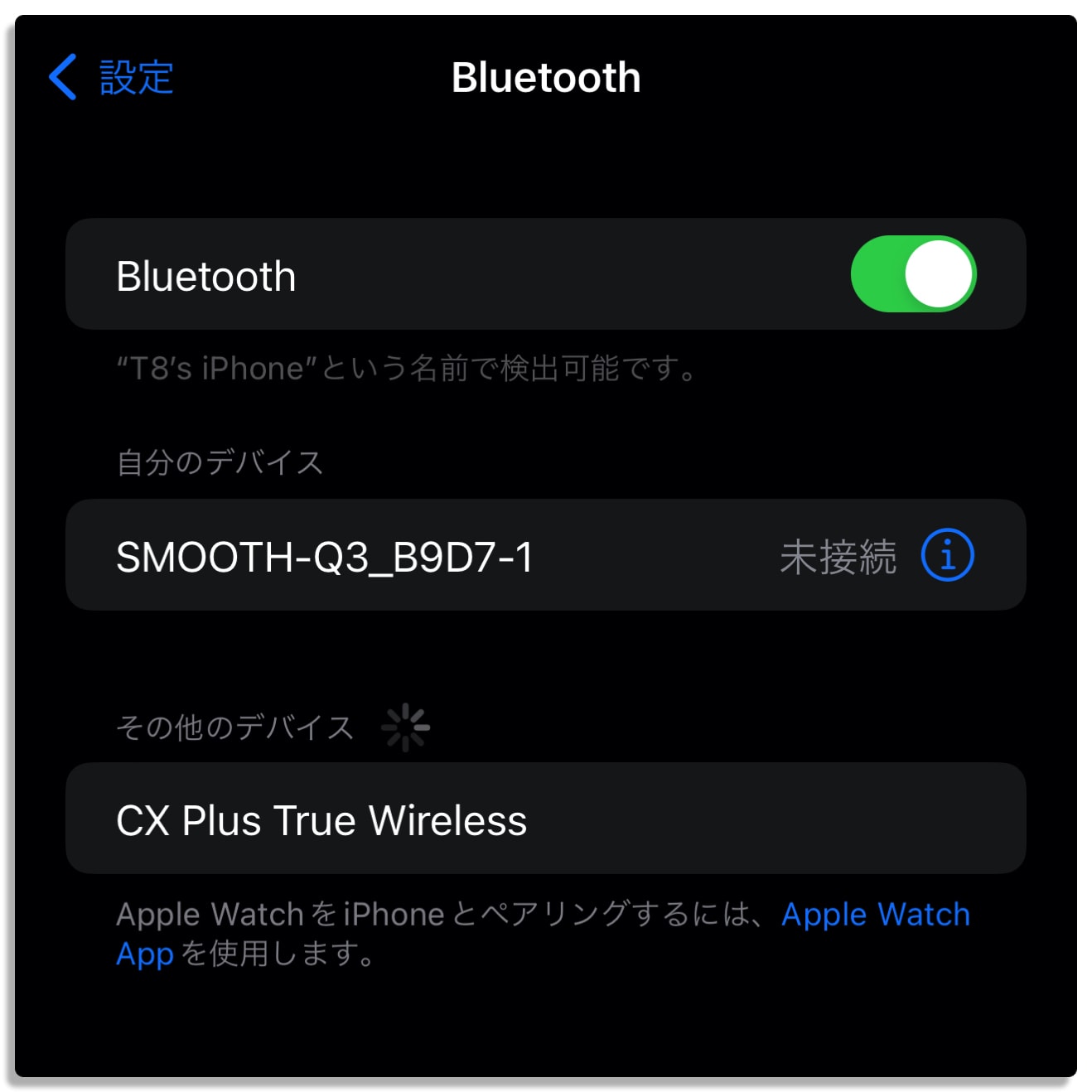 オーディオ,ゼンハイザー,sennheiser,CX Plus True Wireless,完全ワイヤレスイヤホン,Bluetoothイヤホン,ノイズキャンセリング,iPhoneと接続