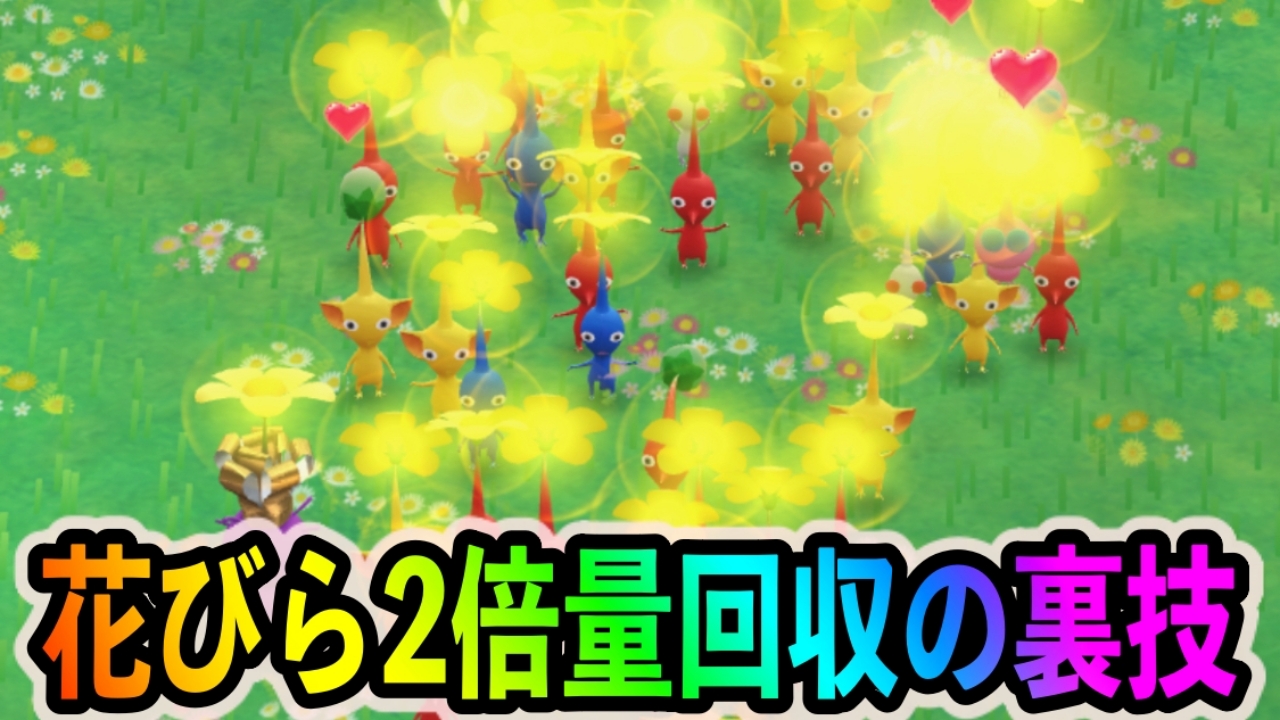 【ピクミンブルーム】実質エキスの量が2倍に!? 超絶効率で花びらを入手する裏技を紹介