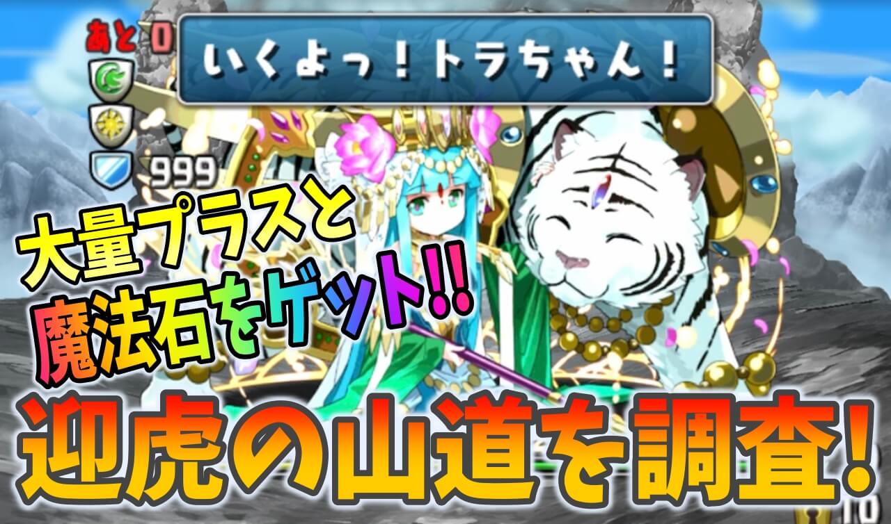 【パズドラ】大量プラスと魔法石を確保しよう! 迎虎の山道を調査!!