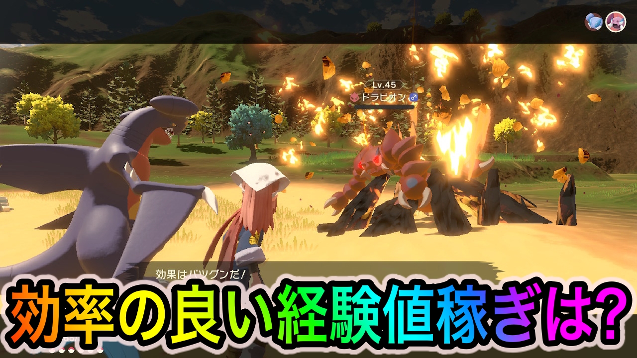 ポケモンレジェンズアルセウス 効率の良いレベル上げ方法は ポイントは進化後ポケモンとオヤブン レベルが高くなってきたらオヤブンを狙うのもアリappbank