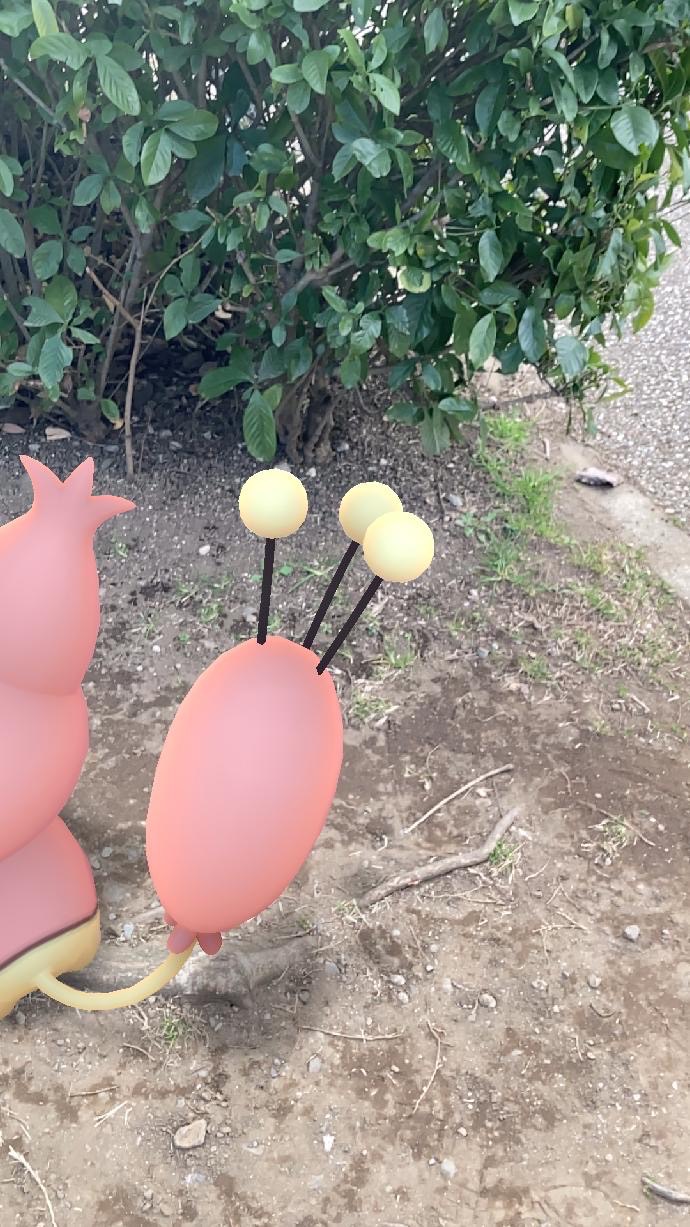 ポケモンgo このポケモンだーれだ 猫の日がテーマのar写真クイズ Game Apps