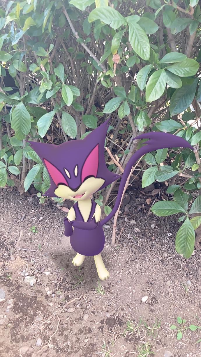 ポケモンgo このポケモンだーれだ 猫の日がテーマのar写真クイズ Appbank