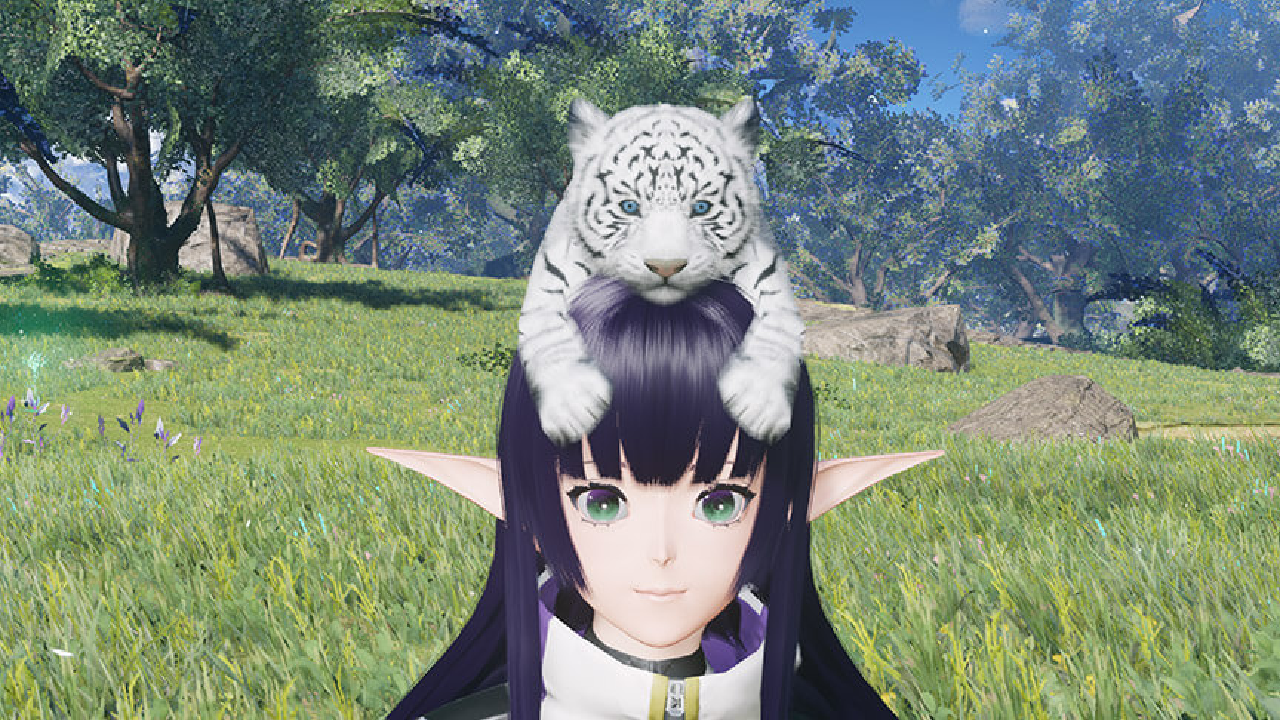 『PSO2ニュージェネシス』ウィンターイベント後半開催! 可愛い頭乗りタイガーをゲットしよう!