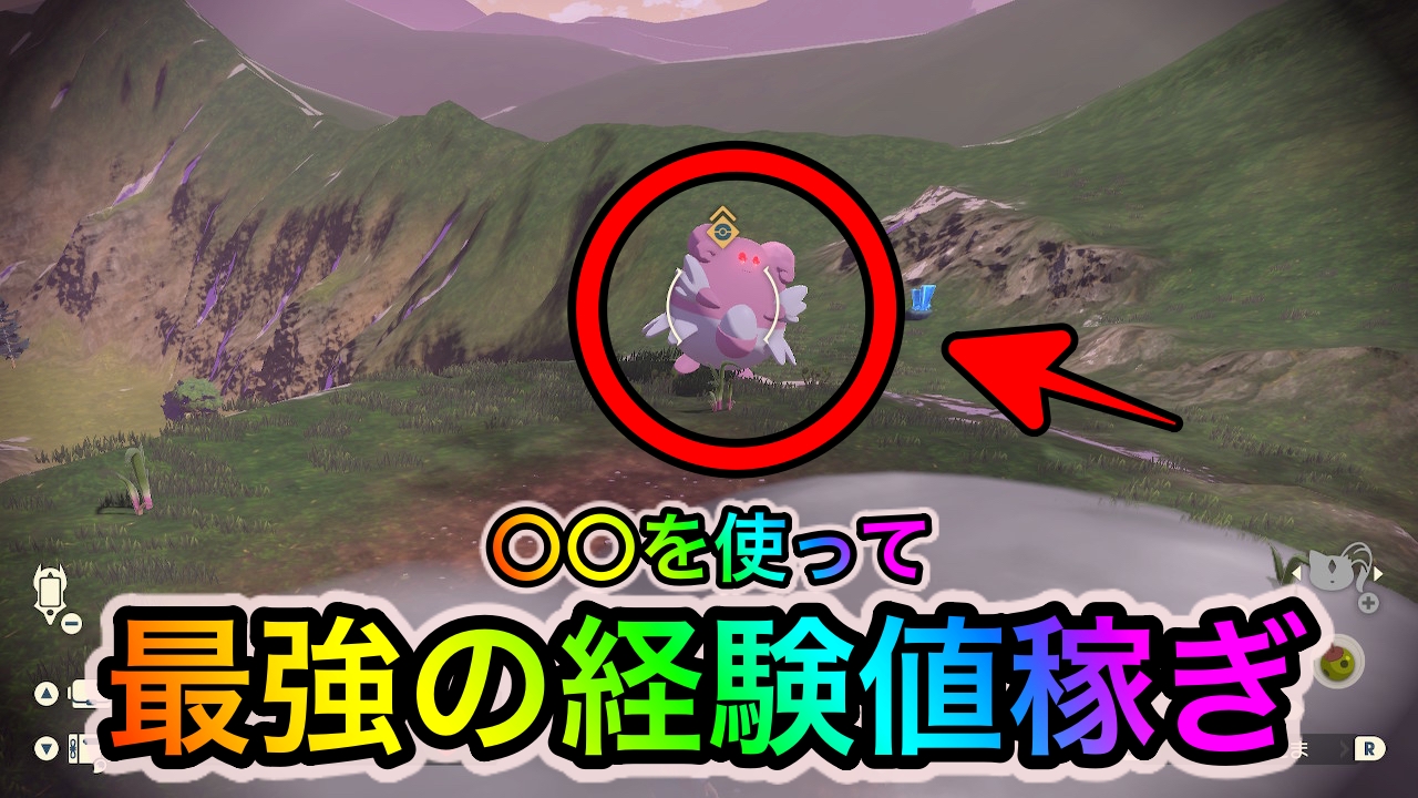 【ポケモンレジェンズアルセウス】1匹で8000経験値!? ハピナスに“あるもの