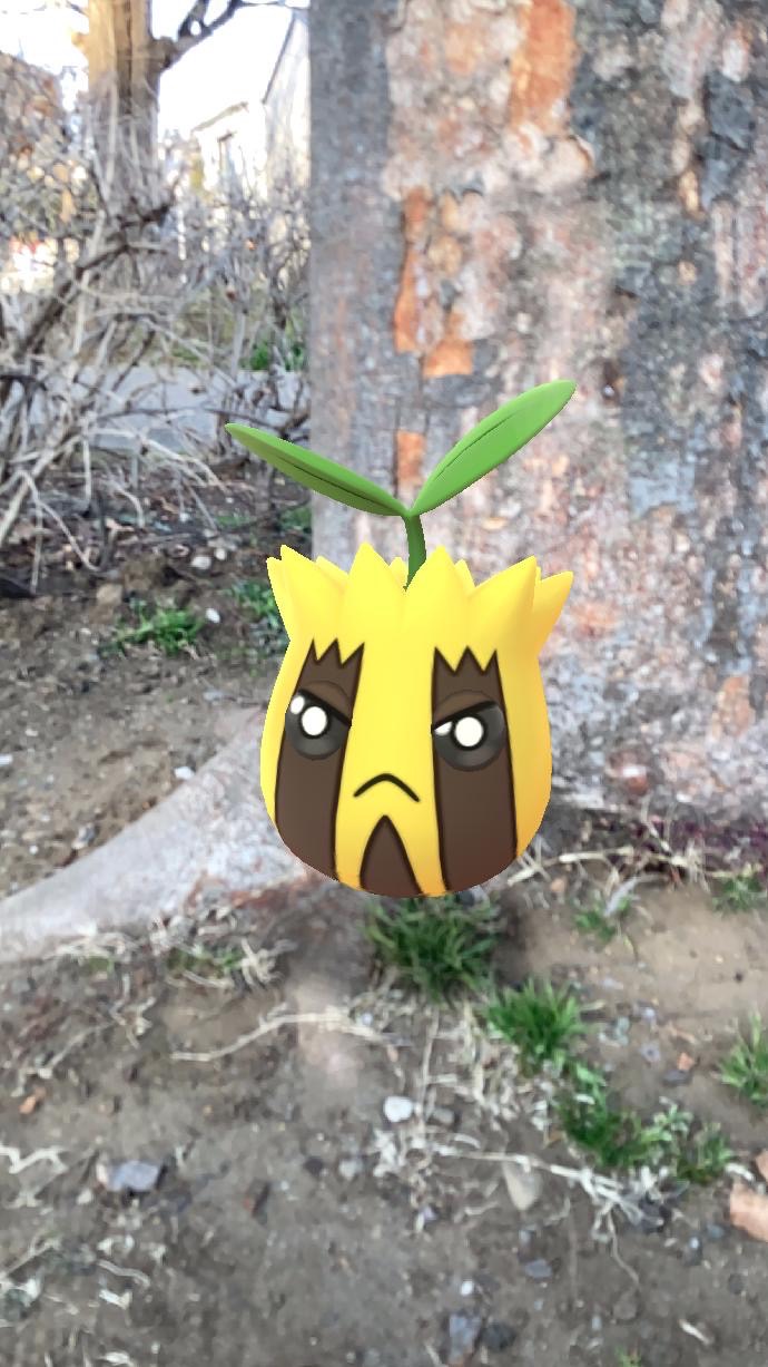 ポケモンgo 暖かくなってきてポケモンたちも嬉しそう お散歩をしながらポケモンをar撮影してみました Appbank