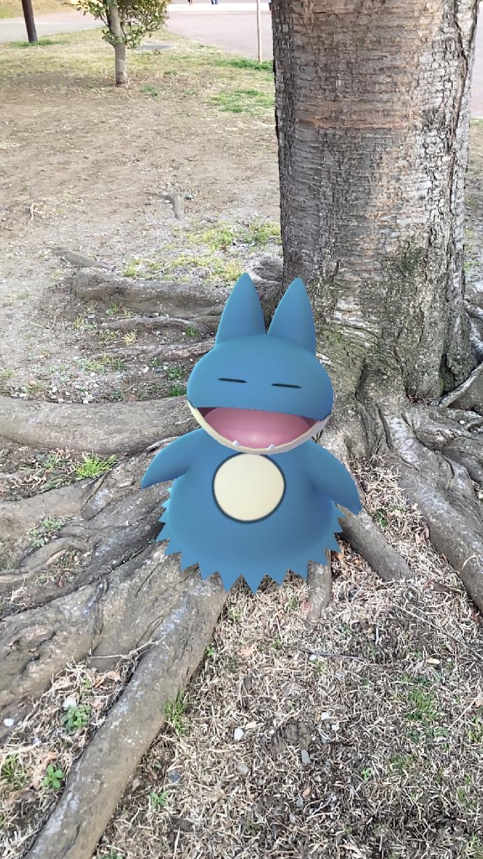 ポケモンgo 暖かくなってきてポケモンたちも嬉しそう お散歩をしながらポケモンをar撮影してみました Game Apps