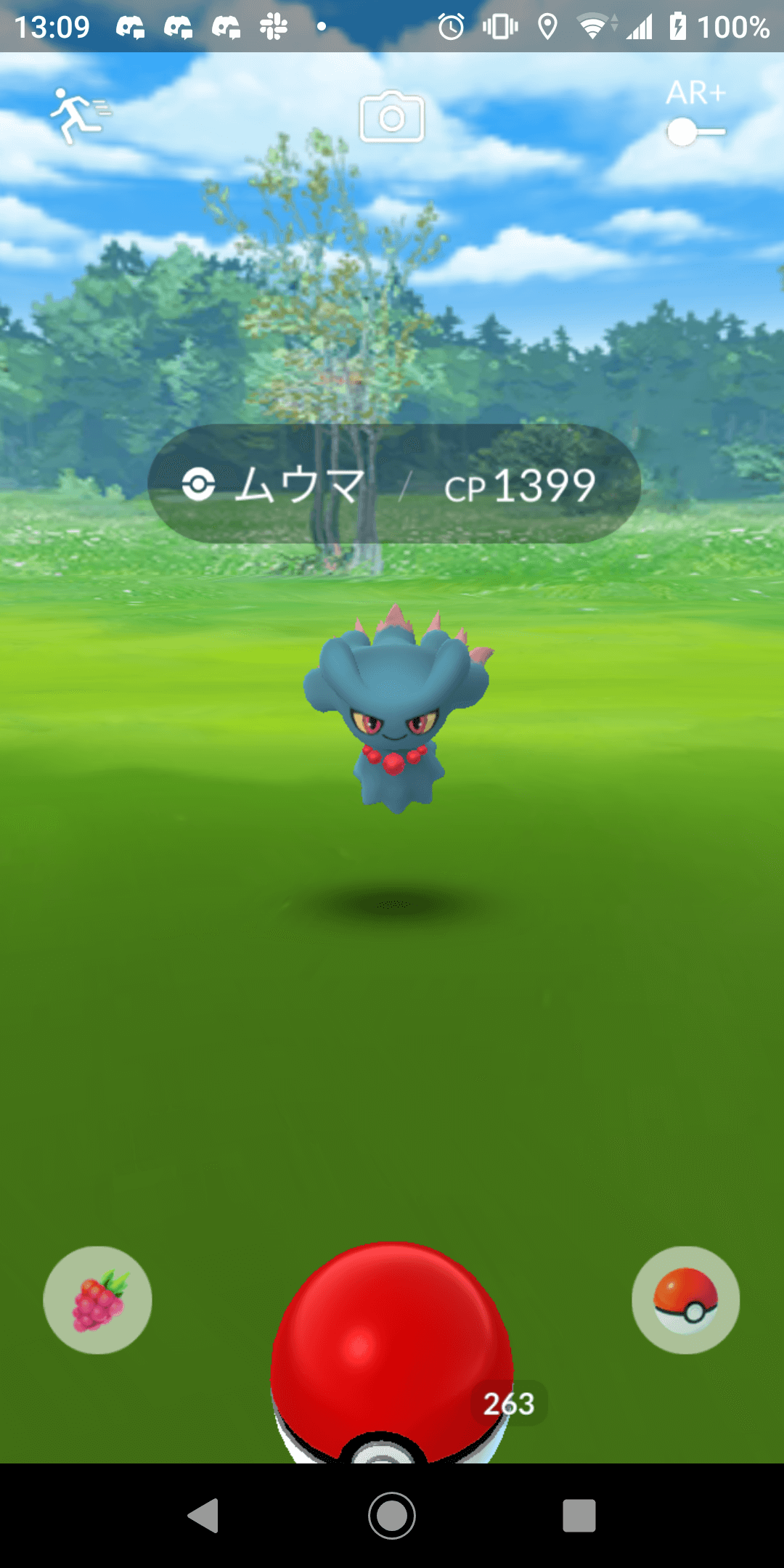 ポケモンgo ヨーギラスを狙え いきなりキングドラも シロガネやま出現ポケモン速報まとめ Appbank