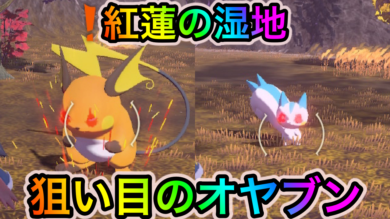 【ポケモンレジェンズアルセウス】紅蓮の湿地で狙い目のオヤブンと詳細な出現場所