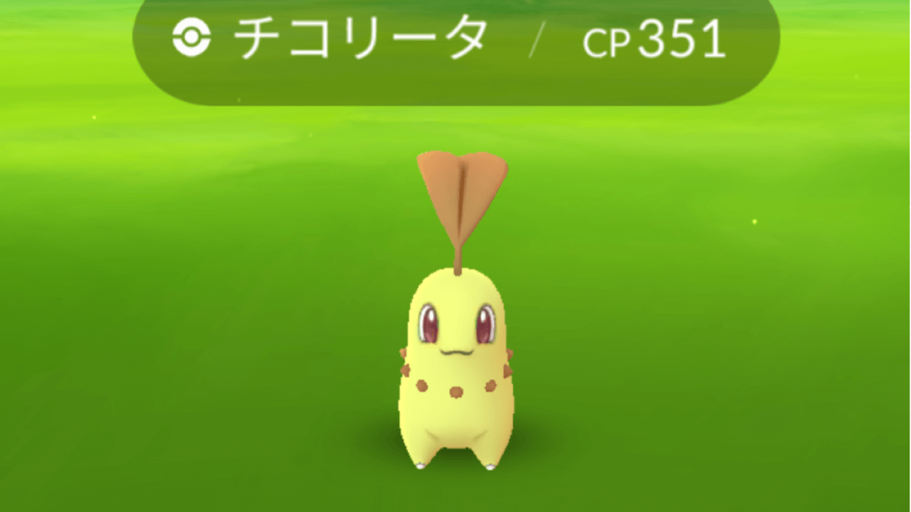 【ポケモンGO】ワカバタウンブロック出現ポケモン速報まとめ! 路上にライコウ出現!? 御三家も