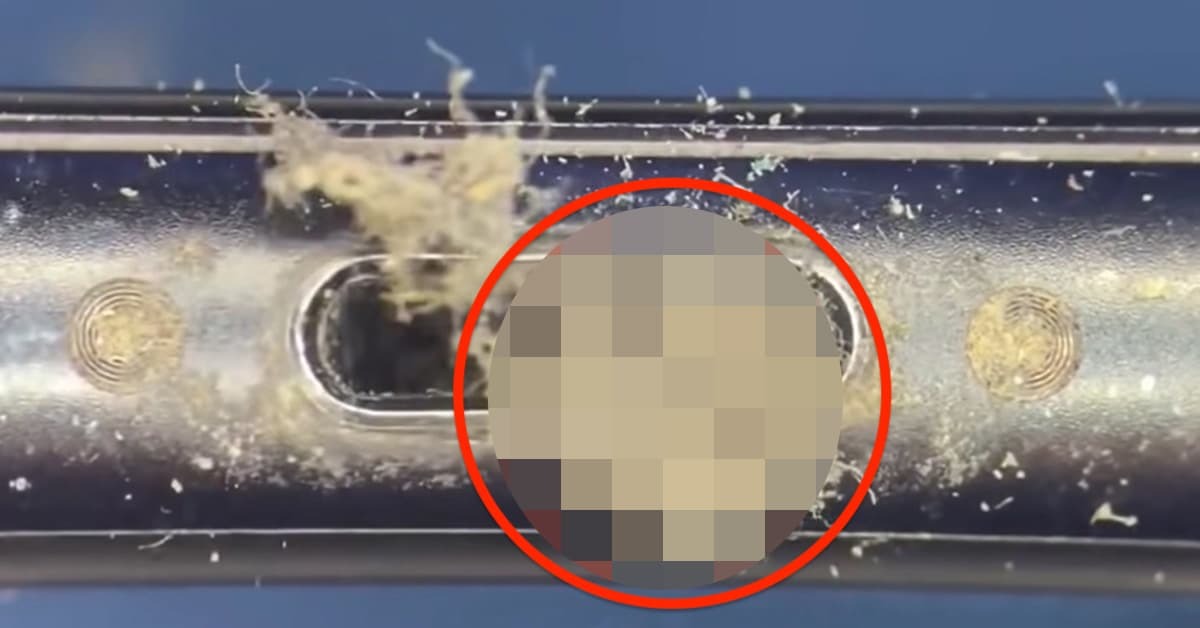 【閲覧注意】エグい汚さのiPhoneを掃除する動画