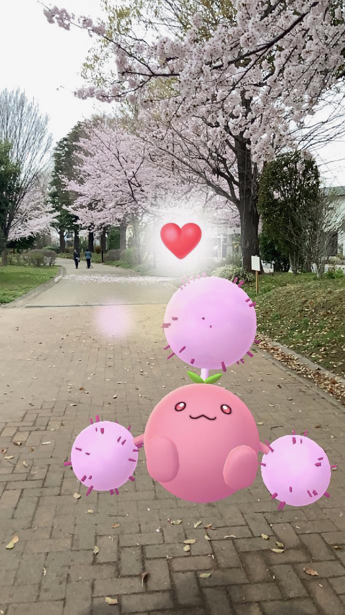 ポケモンgo 桜が満開の公園でar撮影 普段とは違う風景にポケモン達も嬉しそう Game Apps